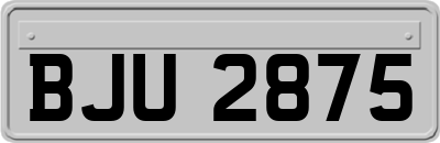 BJU2875