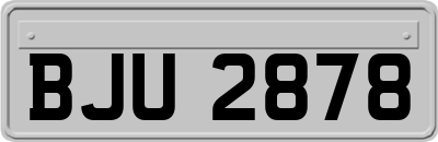BJU2878