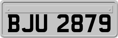 BJU2879