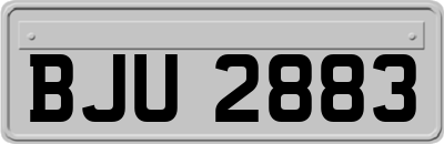 BJU2883
