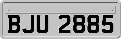 BJU2885
