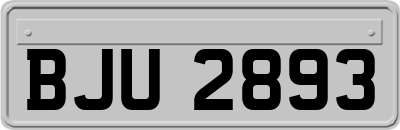 BJU2893
