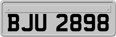 BJU2898