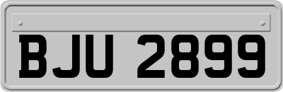 BJU2899