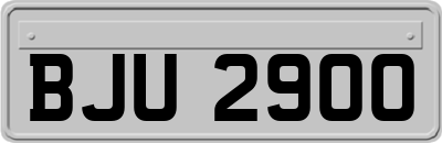 BJU2900