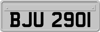 BJU2901