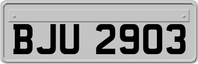 BJU2903