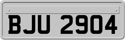 BJU2904