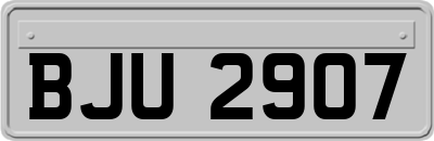 BJU2907