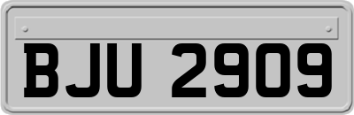 BJU2909