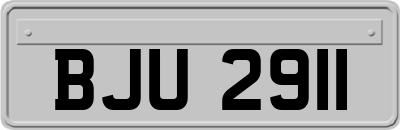 BJU2911