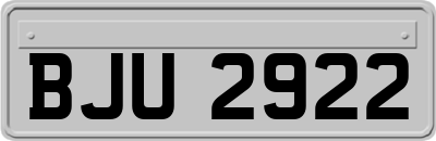 BJU2922