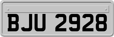 BJU2928