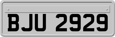 BJU2929