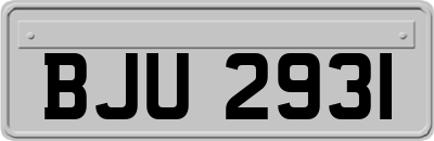 BJU2931
