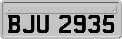 BJU2935