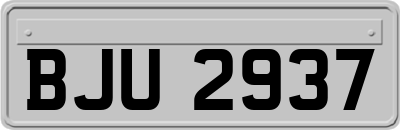 BJU2937
