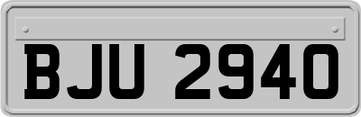 BJU2940