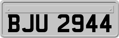 BJU2944