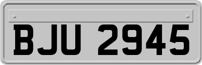 BJU2945
