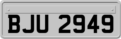 BJU2949