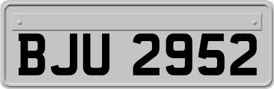 BJU2952