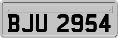BJU2954