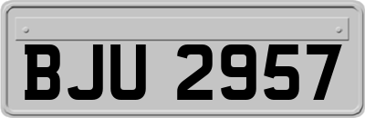 BJU2957