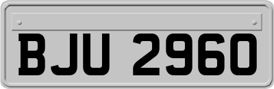 BJU2960