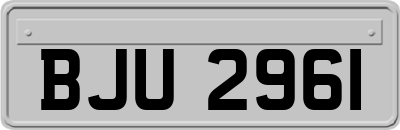BJU2961