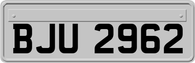 BJU2962