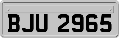 BJU2965
