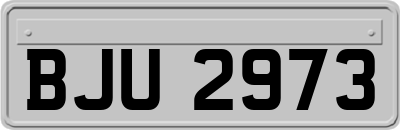 BJU2973