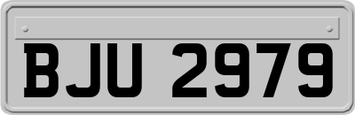 BJU2979