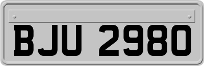 BJU2980