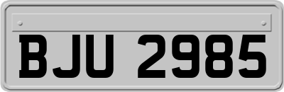 BJU2985
