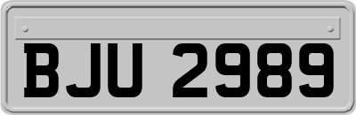 BJU2989