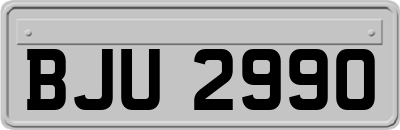 BJU2990