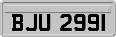 BJU2991