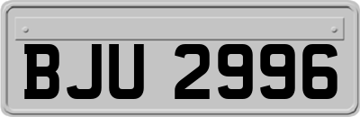 BJU2996