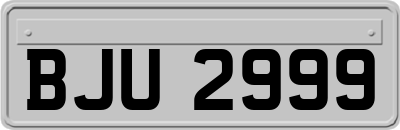 BJU2999