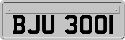BJU3001