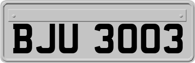BJU3003