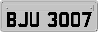 BJU3007