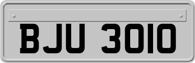 BJU3010