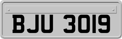 BJU3019