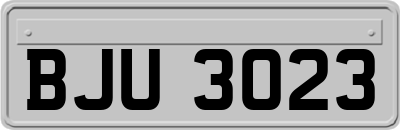BJU3023