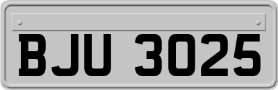 BJU3025