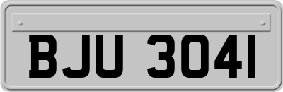 BJU3041