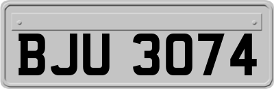 BJU3074